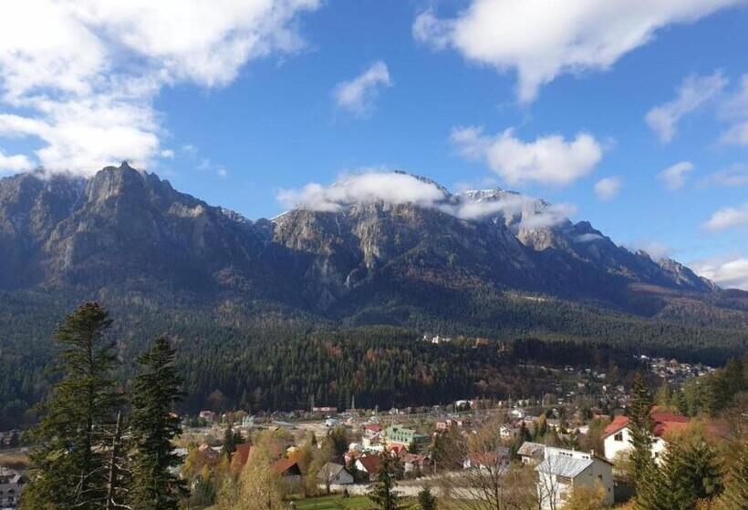 וילה בת חדר שינה 1, Vila Alunis