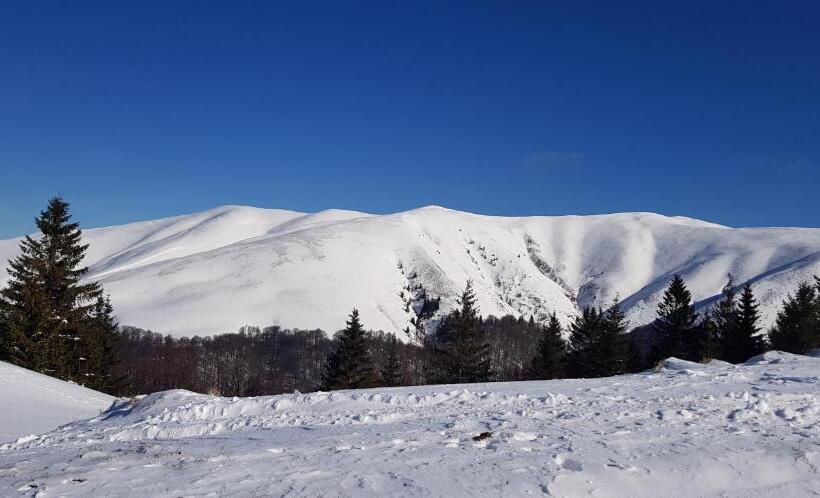בקתת חדר, Vila Alunis