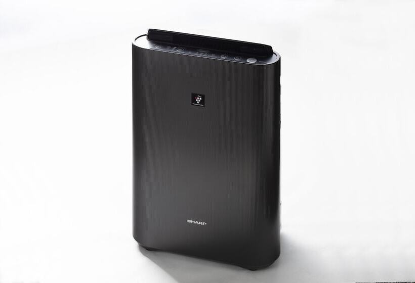 חדר סטנדרט מותאם לאדם עם מוגבלויות, Grand Cocoe Kurashiki