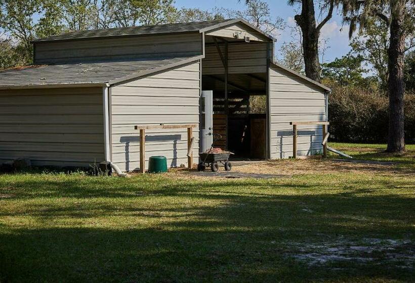 غرفة قياسية, Room In Bb   Pleasant Days Bb Southwest Cottage