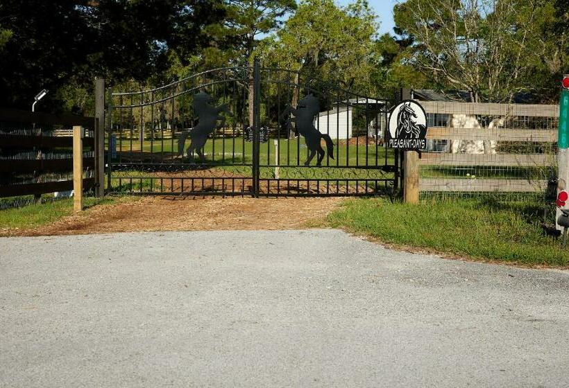 غرفة قياسية, Room In Bb   Pleasant Days Bb Southwest Cottage