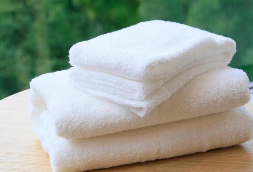 اتاق استاندارد سه نفره, Hot Spring Inn Hakone Suisen