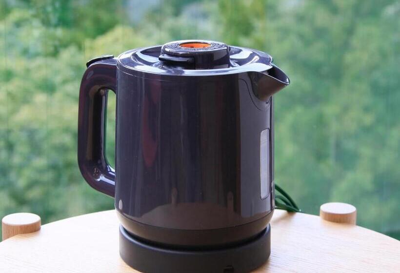 اتاق استاندارد سه نفره, Hot Spring Inn Hakone Suisen