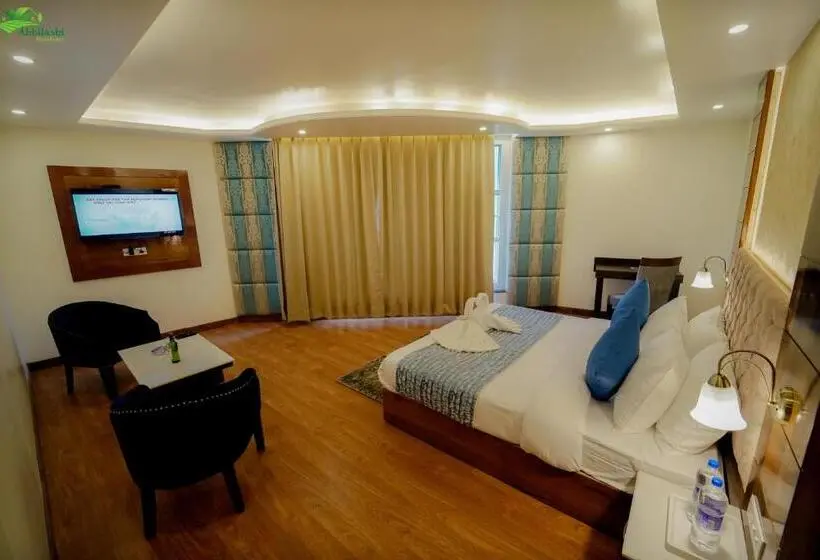 スーペリアールーム, Abhilashi Residency & Spa   Centrally Heated & Air Cooled