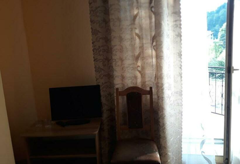 Camera Quadrupla Standard, над вичов