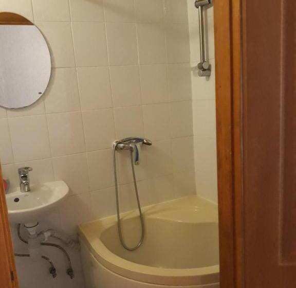 Camera Standard, над вичов