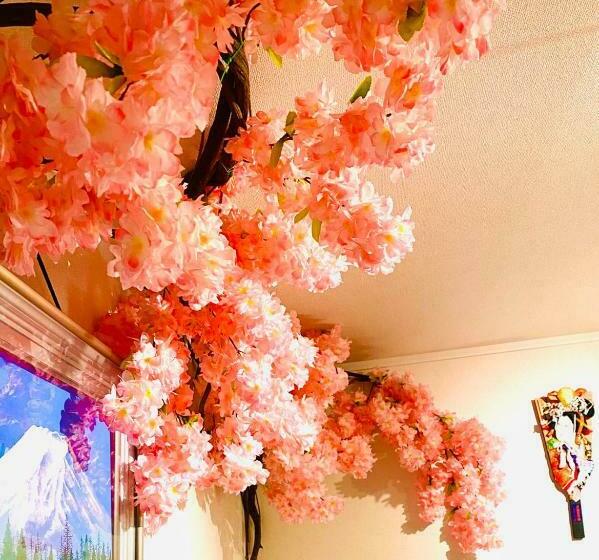 Люкс Дюплекс, 雲波館