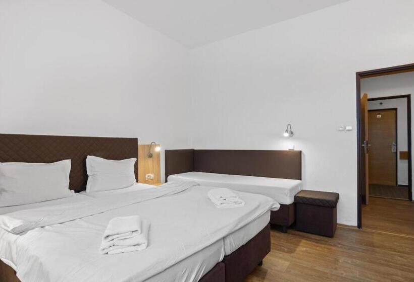 اتاق استاندارد, červenohorské Sedlo