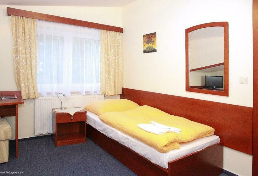 اتاق کلاس بیزنس, Horský Hotel Remata