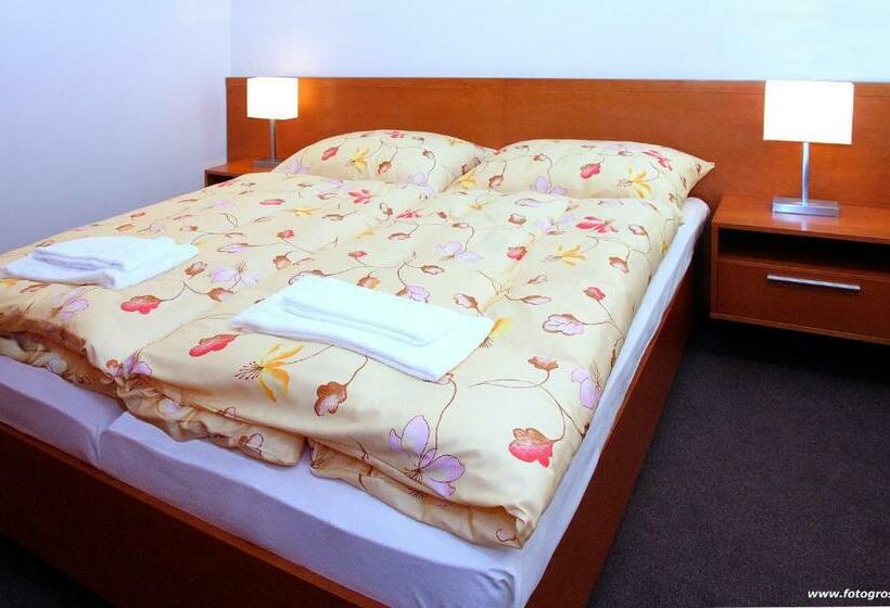 Номер бизнес-класса, Horský Hotel Remata