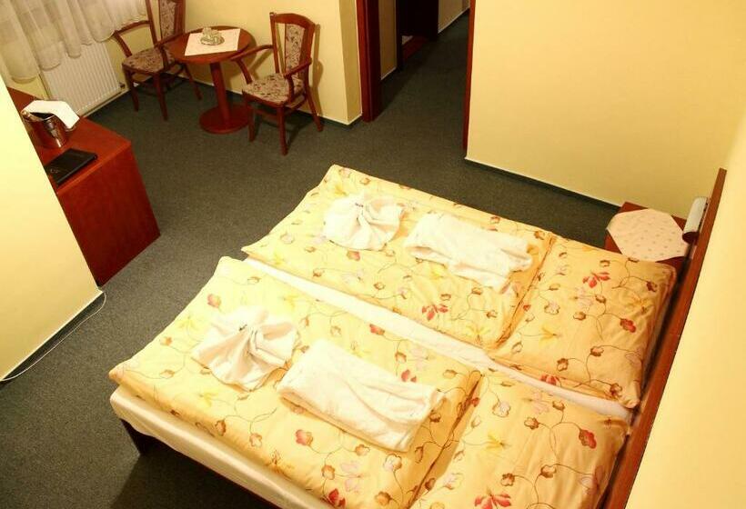 اتاق کلاس بیزنس, Horský Hotel Remata