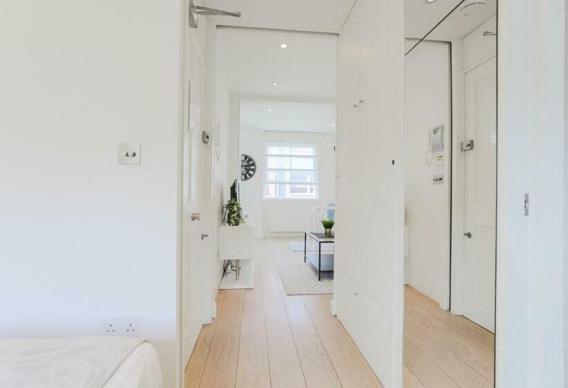 豪华工作室, Stayinn Soho Apartments