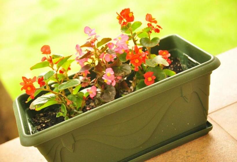 غرفة دور أخير, Boutique Hotel Villa P