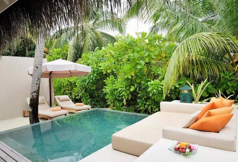 ویلای یک اتاق خوابه با استخر شنا, Ayada Maldives