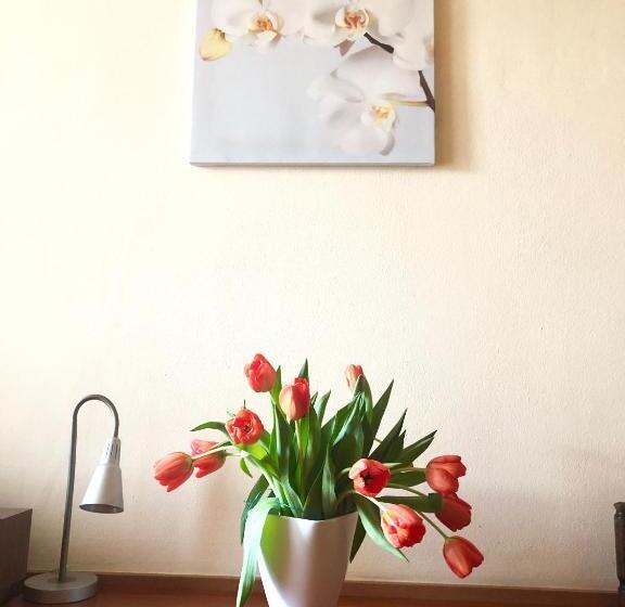 غرفة قياسية, Haga