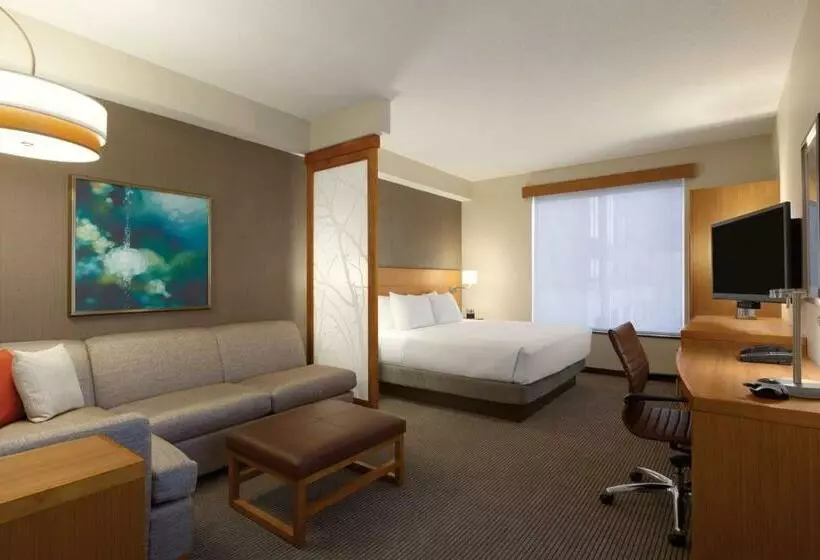 キングサイズベッドのスタンダードルーム, Hyatt Place St. Louis/chesterfield