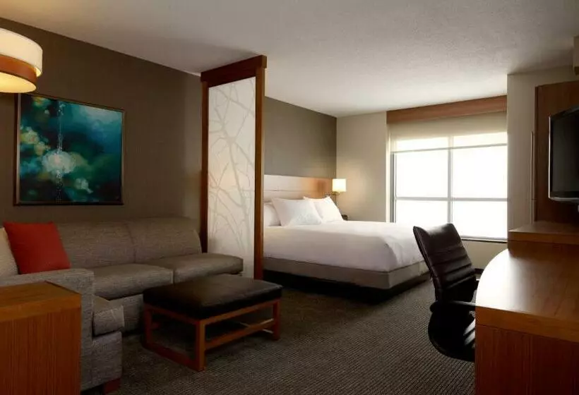 キングサイズベッドのスタンダードルーム, Hyatt Place St. Louis/chesterfield