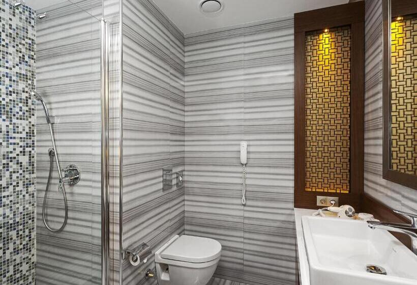 스탠다드 룸, Manesol Boutique Galata