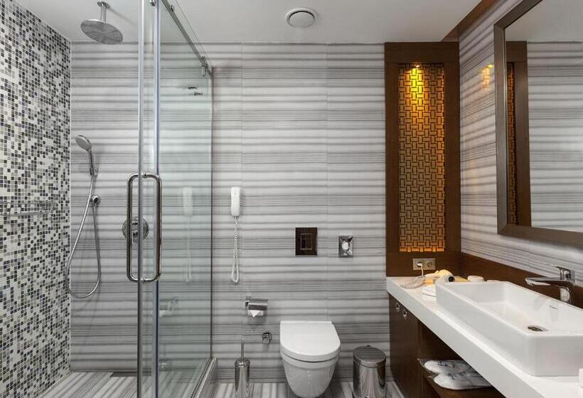 اتاق اکونومی, Manesol Boutique Galata