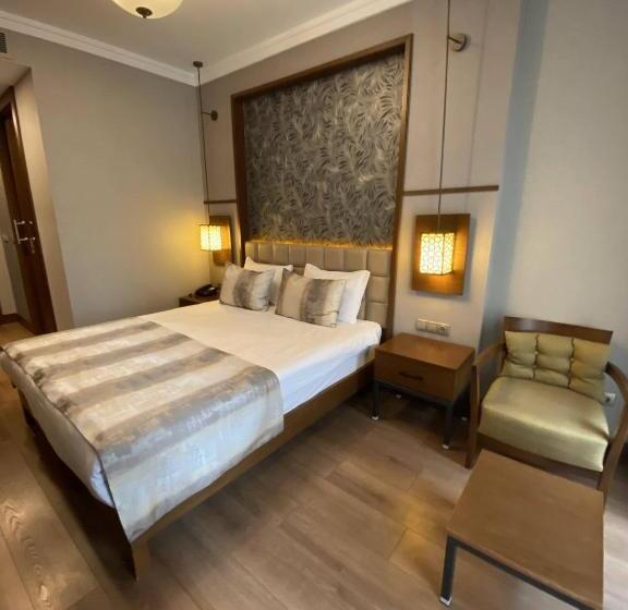 اتاق استاندارد با بالکن, Manesol Boutique Galata