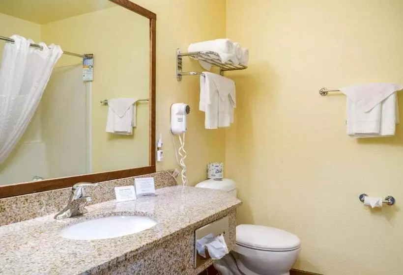 スタンダードルーム, Quality Inn & Suites