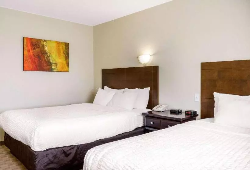 デラックスルーム, Quality Inn & Suites