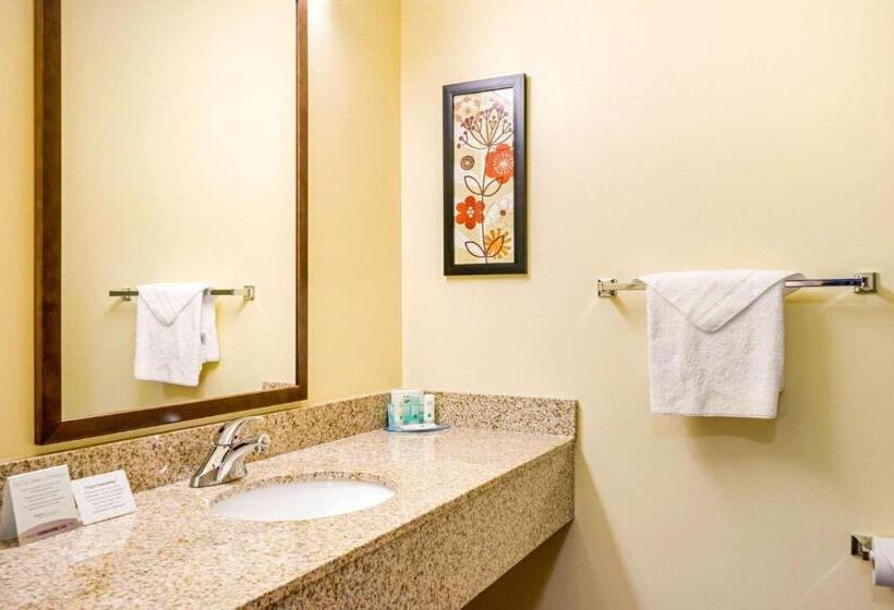Люкс Кровать Кинг, Quality Inn & Suites