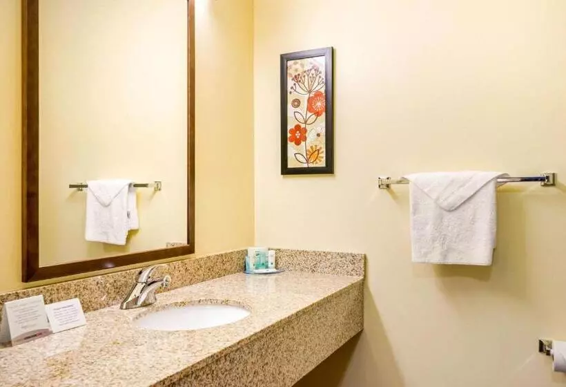 キングサイズベッドのスイートルーム, Quality Inn & Suites