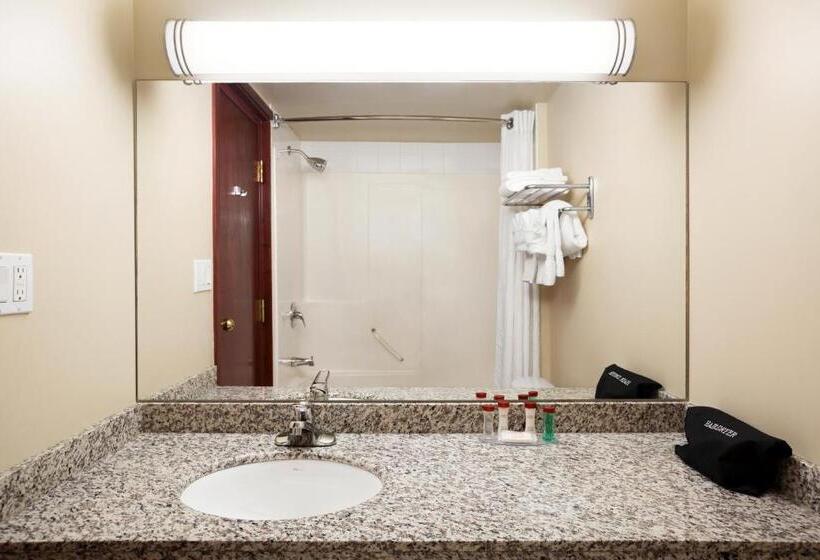 غرفة قياسية سرير كينج, Ramada By Wyndham Edson