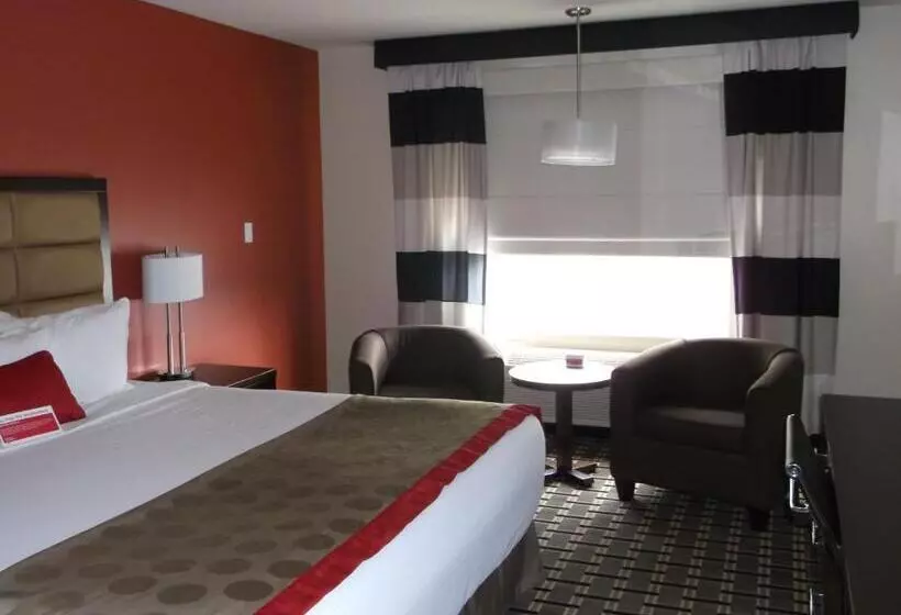 キングサイドベッドのスタンダードワンルーム, Ramada By Wyndham Edson