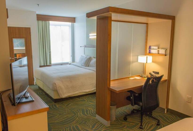 스위트, Springhill Suites By Marriott Sumter