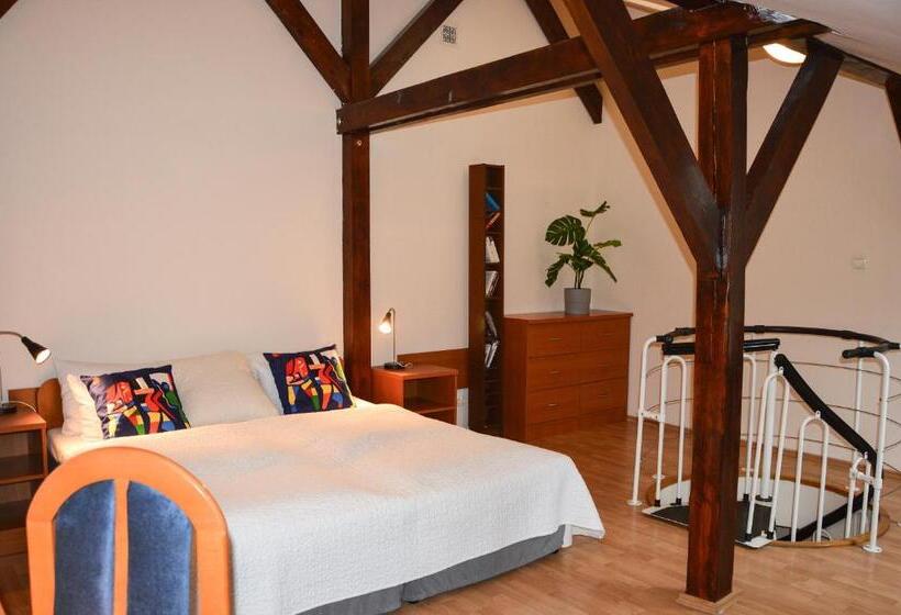 Standard-studio, Kosmopolita Rooms
