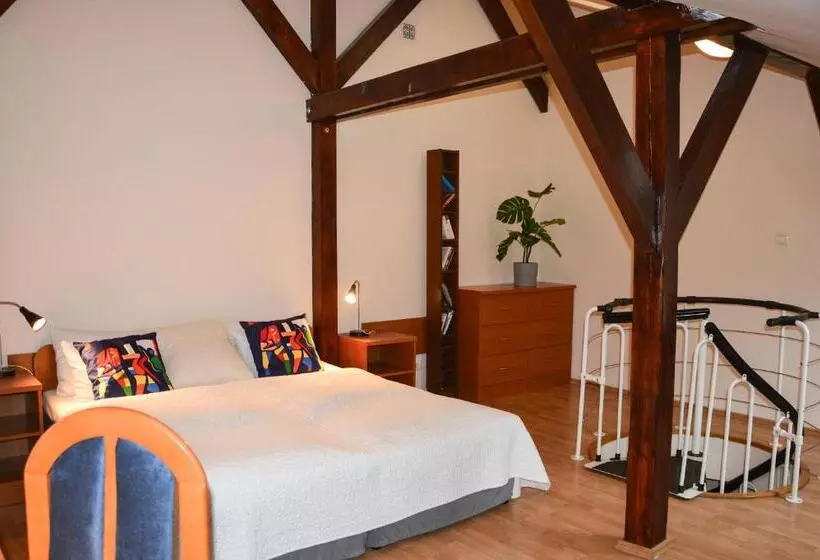 Standard-studio, Kosmopolita Rooms