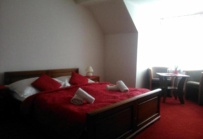 غرفة قياسية, Wellness Penzion Zora Family