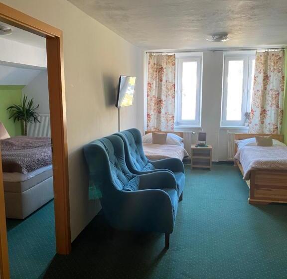 شقة غرفة واحدة, Wellness Penzion Zora Family