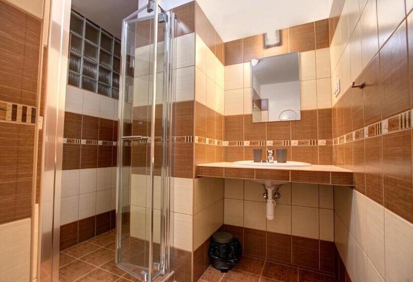 غرفة قياسية مزوَّدة بشُرفة, Wellness Penzion Zora Family