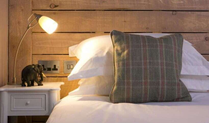 Номер Стандарт, The Elephant At The Market