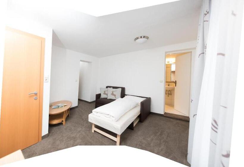 Полулюкс, Pension Irlingerhof
