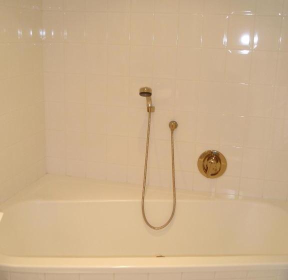 Президентский Люкс, Pension Irlingerhof