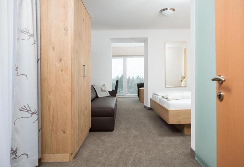 Номер Superior с Видом, Pension Irlingerhof