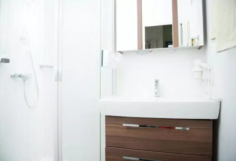 Classic Yhden Hengen Huone, Pension Irlingerhof