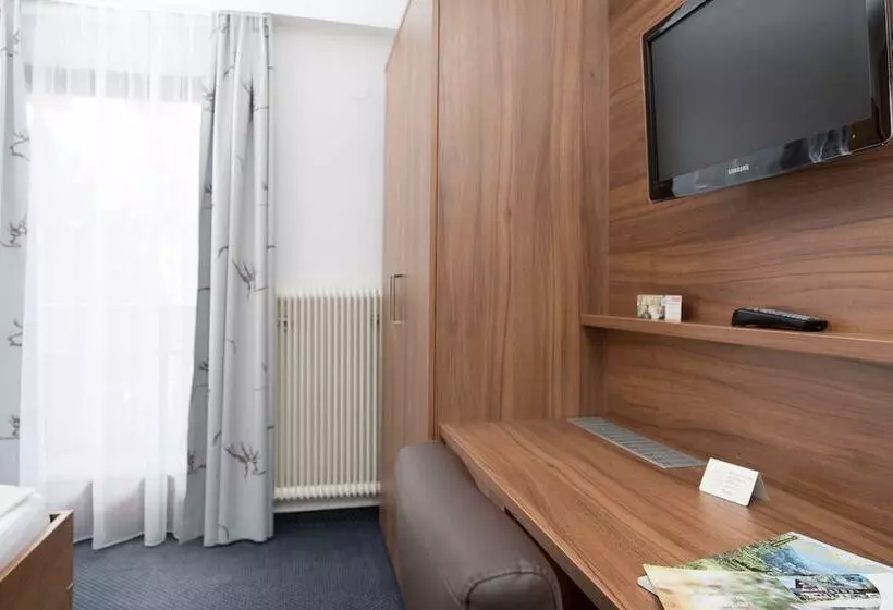 Standard-huone, Pension Irlingerhof