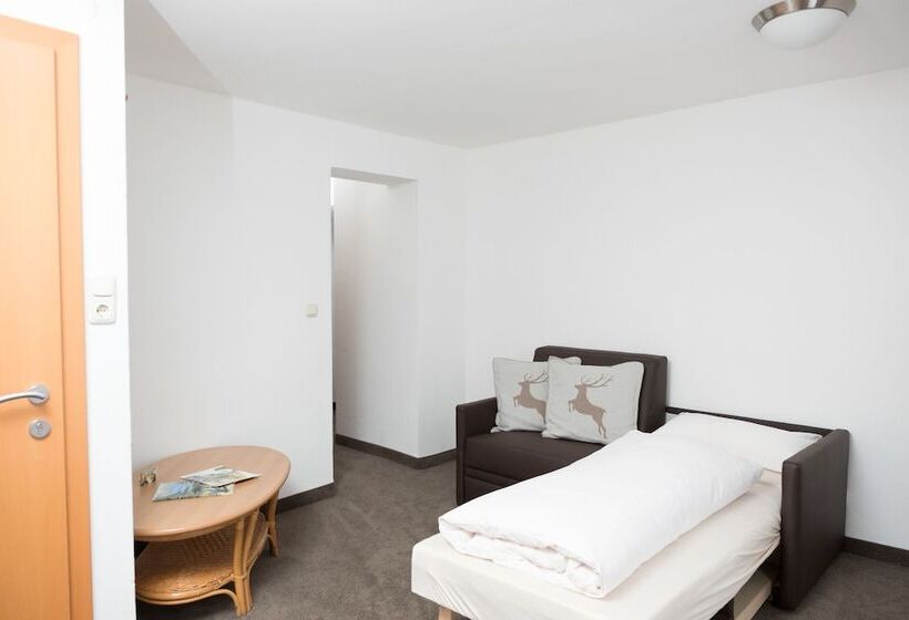 Полулюкс, Pension Irlingerhof