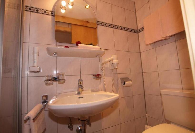 Номер Стандарт, Waldhof