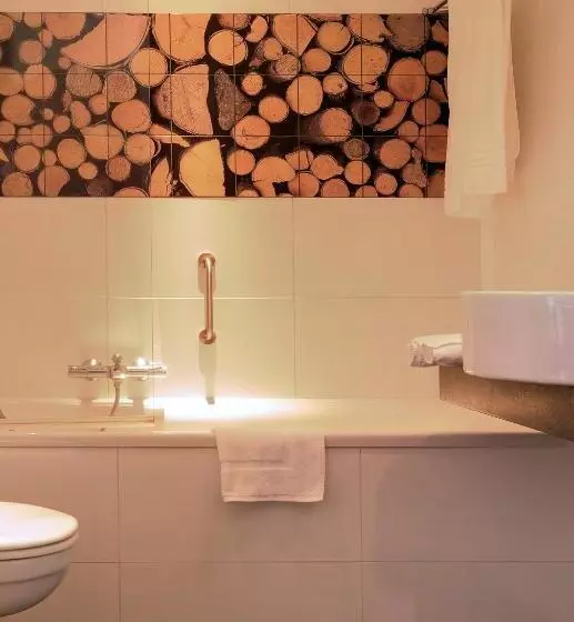 Basic Room, De Sterrenberg   Adults Only
