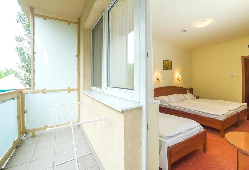 Трехместный Номер Стандарт с Балконом, Hungarospa Thermal