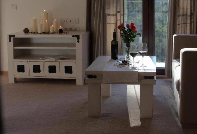 Полулюкс, Par Avion