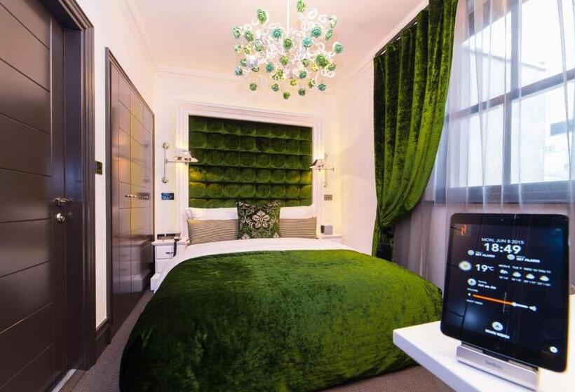 חדר סטנדרט, The Exhibitionist