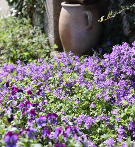 标准间, Auberge Dupuytren