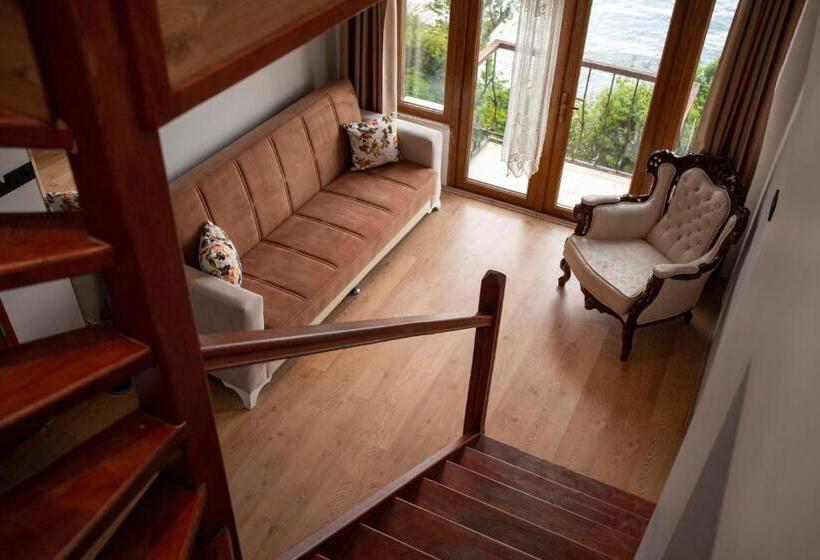 سوییت, Sinop Antik